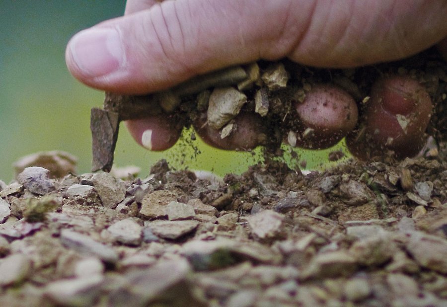 Terroir de Friuli - Suelos Ponca